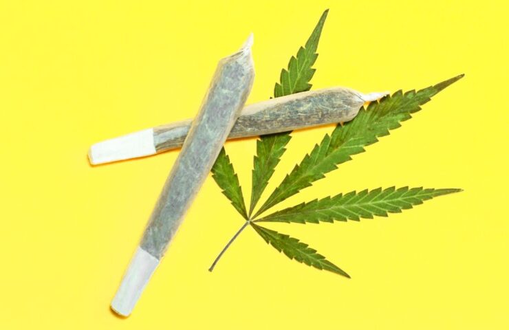 St. Catharines same-day weed delivery